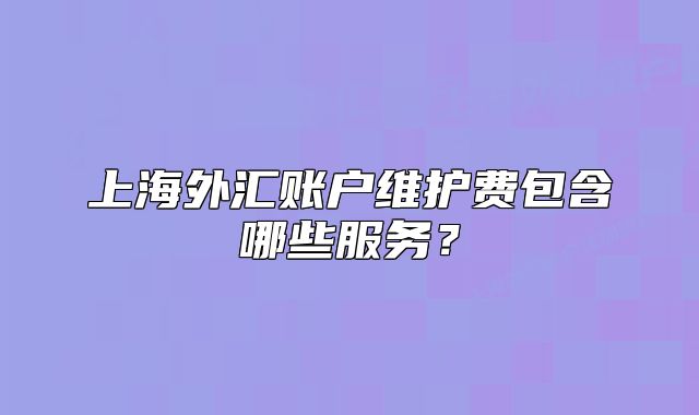 上海外汇账户维护费包含哪些服务？