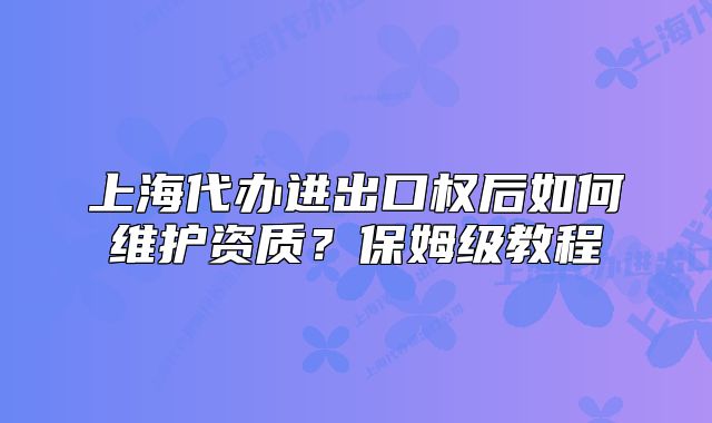 上海代办进出口权后如何维护资质?保姆级教程