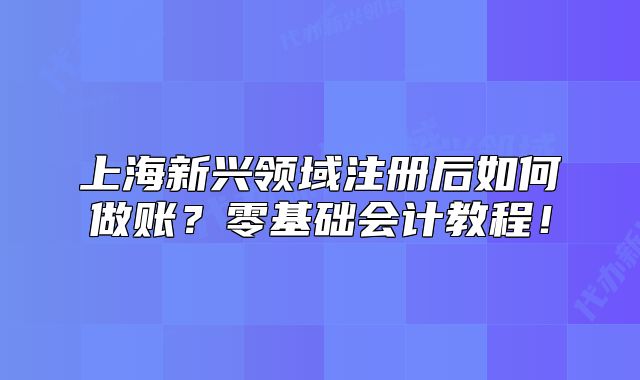 上海新兴领域注册后如何做账？零基础会计教程！