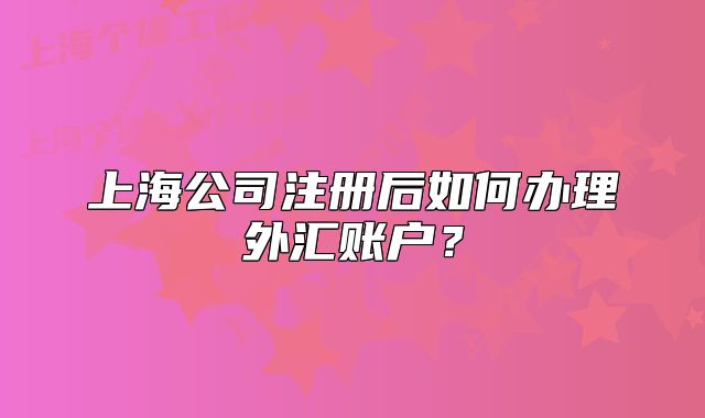上海公司注册后如何办理外汇账户？