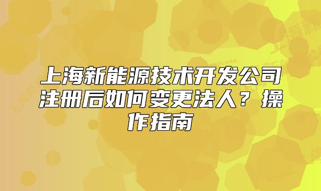 上海新能源技术开发公司注册后如何变更法人?操作指南