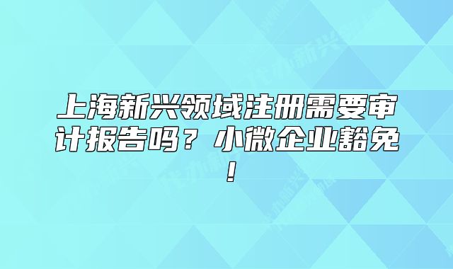 上海新兴领域注册需要审计报告吗？小微企业豁免！