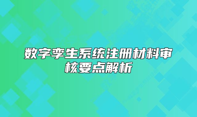 数字孪生系统注册材料审核要点解析