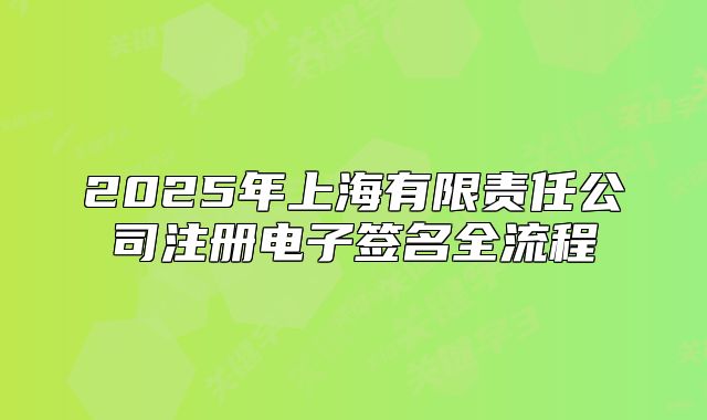 2025年上海有限责任公司注册电子签名全流程