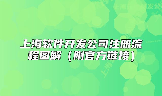 上海软件开发公司注册流程图解（附官方链接）