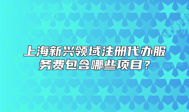 上海新兴领域注册代办服务费包含哪些项目?