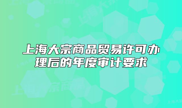 上海大宗商品贸易许可办理后的年度审计要求
