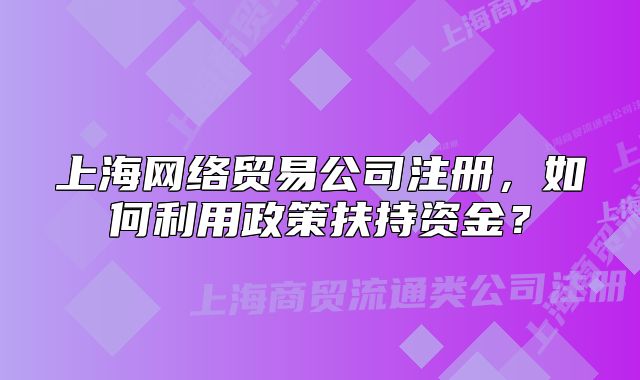 上海网络贸易公司注册，如何利用政策扶持资金？