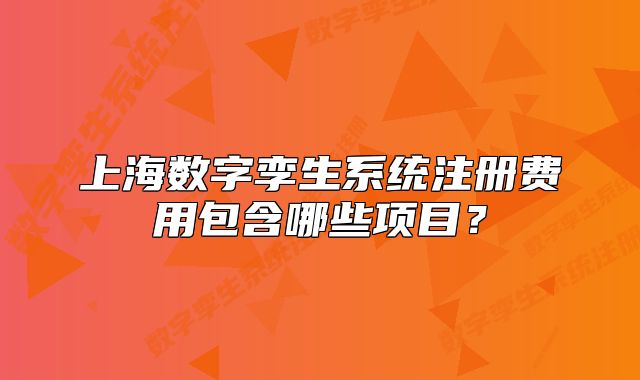 上海数字孪生系统注册费用包含哪些项目?