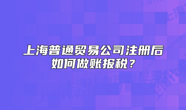 上海普通贸易公司注册后如何做账报税?