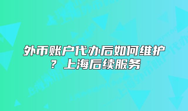 外币账户代办后如何维护？上海后续服务