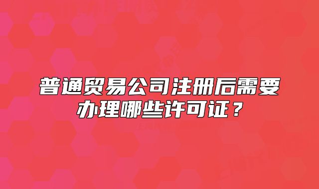 普通贸易公司注册后需要办理哪些许可证?