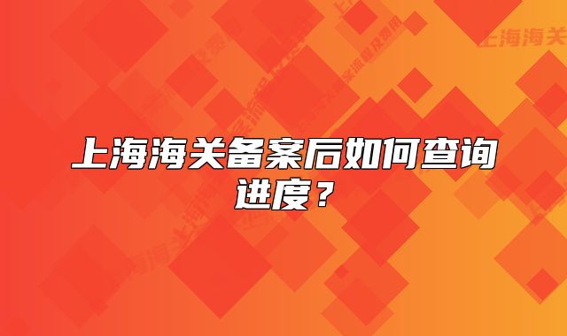 上海海关备案后如何查询进度?