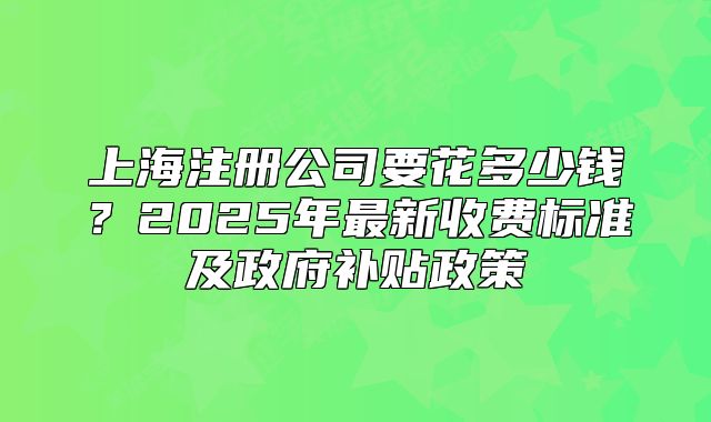 上海注册公司要花多少钱？2025年最新收费标准及政府补贴政策