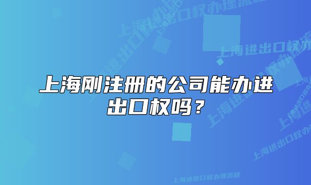 上海刚注册的公司能办进出口权吗？