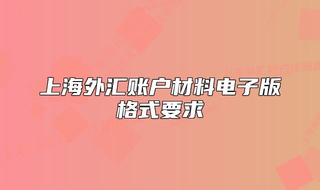 上海外汇账户材料电子版格式要求