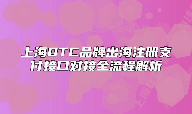 上海DTC品牌出海注册支付接口对接全流程解析