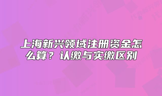 上海新兴领域注册资金怎么算?认缴与实缴区别