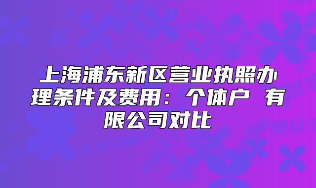 上海浦东新区营业执照办理条件及费用：个体户 有限公司对比