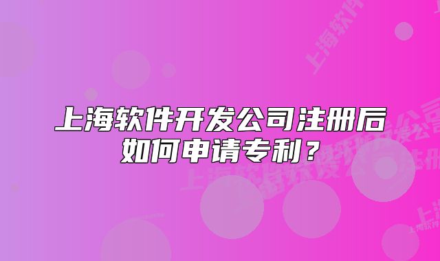 上海软件开发公司注册后如何申请专利?