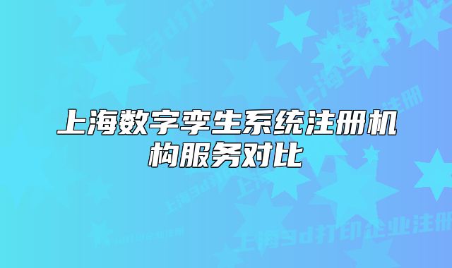 上海数字孪生系统注册机构服务对比