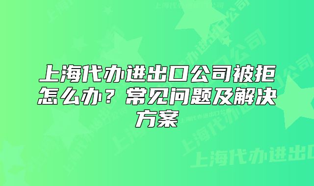 上海代办进出口公司被拒怎么办?常见问题及解决方案