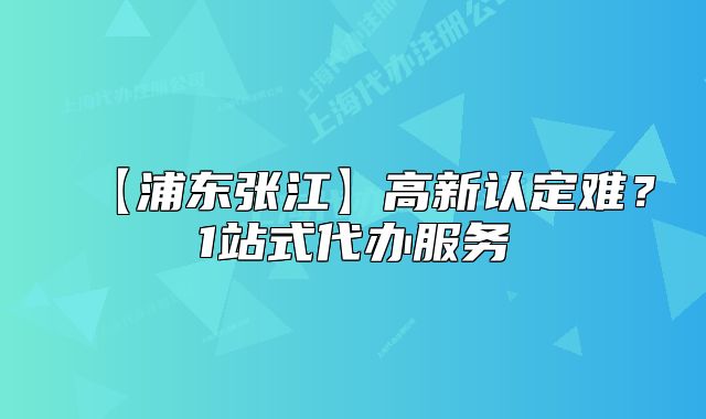 【浦东张江】高新认定难?1站式代办服务