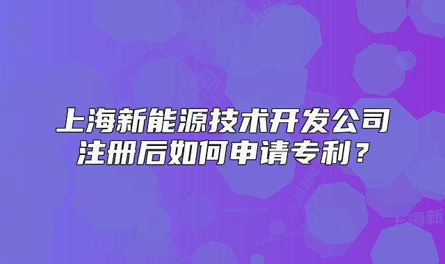 上海新能源技术开发公司注册后如何申请专利？
