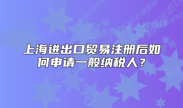 上海进出口贸易注册后如何申请一般纳税人?