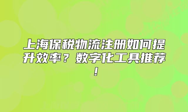 上海保税物流注册如何提升效率?数字化工具推荐!