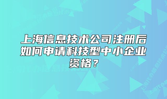 上海信息技术公司注册后如何申请科技型中小企业资格?