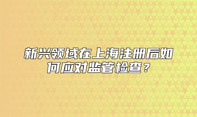 新兴领域在上海注册后如何应对监管检查?
