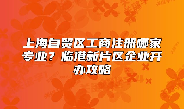 上海自贸区工商注册哪家专业?临港新片区企业开办攻略