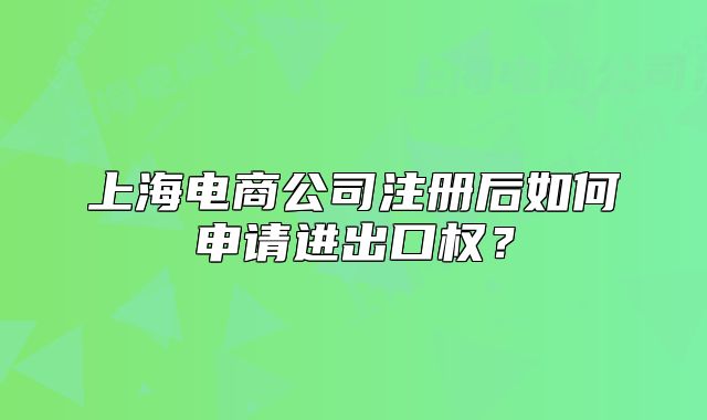 上海电商公司注册后如何申请进出口权?