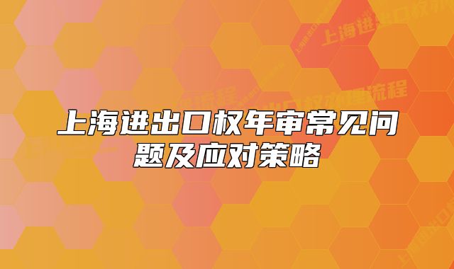 上海进出口权年审常见问题及应对策略