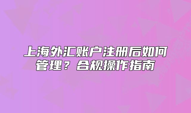 上海外汇账户注册后如何管理?合规操作指南
