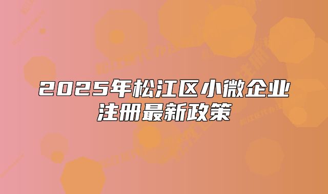 2025年松江区小微企业注册最新政策