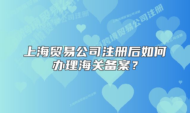 上海贸易公司注册后如何办理海关备案？