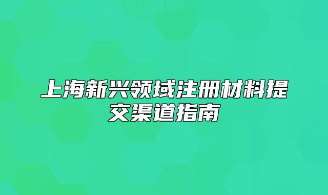 上海新兴领域注册材料提交渠道指南
