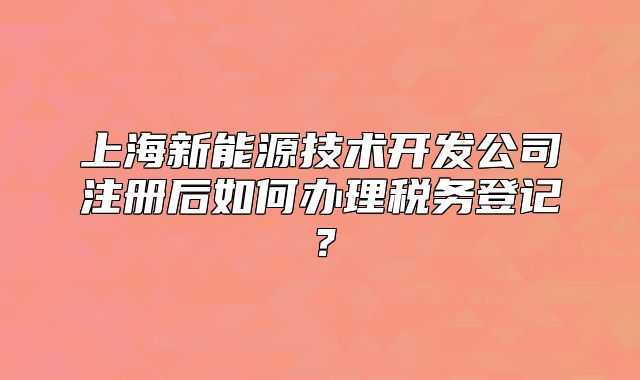 上海新能源技术开发公司注册后如何办理税务登记?
