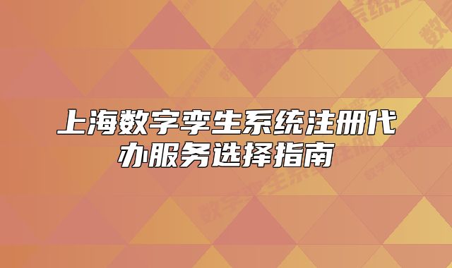 上海数字孪生系统注册代办服务选择指南