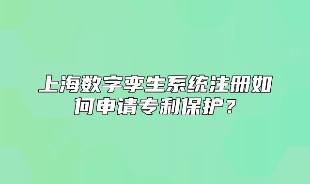 上海数字孪生系统注册如何申请专利保护?
