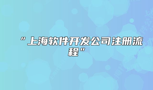 “上海软件开发公司注册流程”