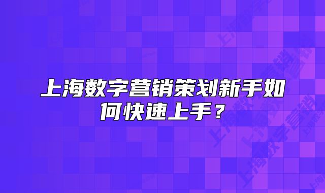 上海数字营销策划新手如何快速上手?
