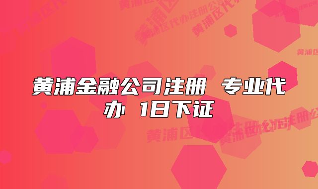 黄浦金融公司注册 专业代办 1日下证