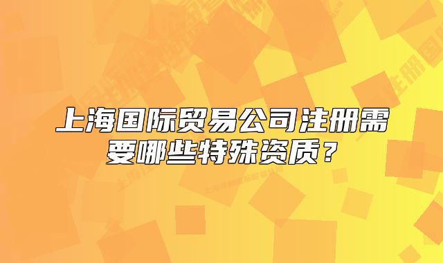 上海国际贸易公司注册需要哪些特殊资质？