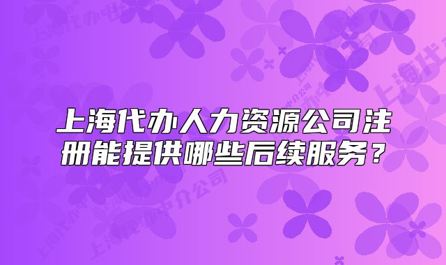 上海代办人力资源公司注册能提供哪些后续服务?