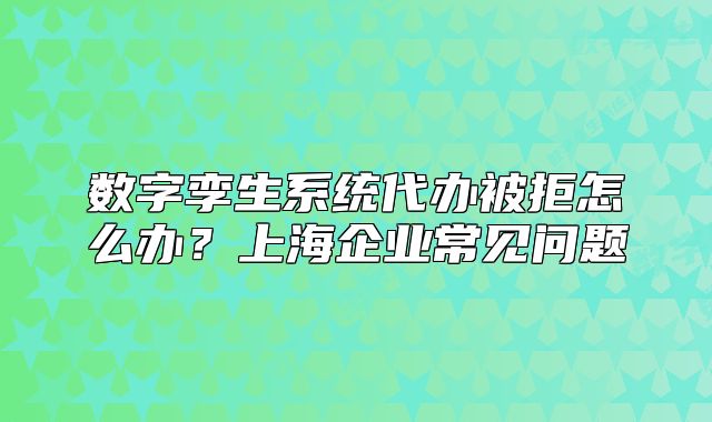 数字孪生系统代办被拒怎么办？上海企业常见问题