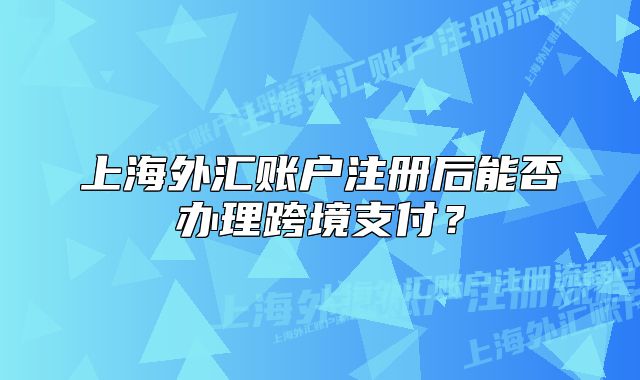 上海外汇账户注册后能否办理跨境支付?