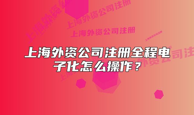 上海外资公司注册全程电子化怎么操作?